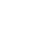 pacesetter_mark_white pacesetter_mark_white