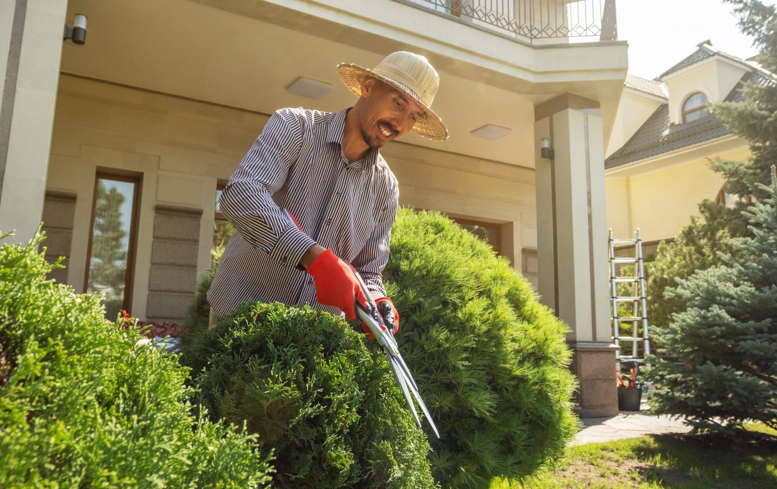 a general labor worker trims bushes in front of an apartment complex